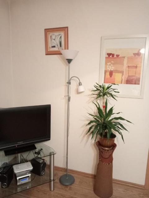 Apartament Stroma 4 Закопане Экстерьер фото